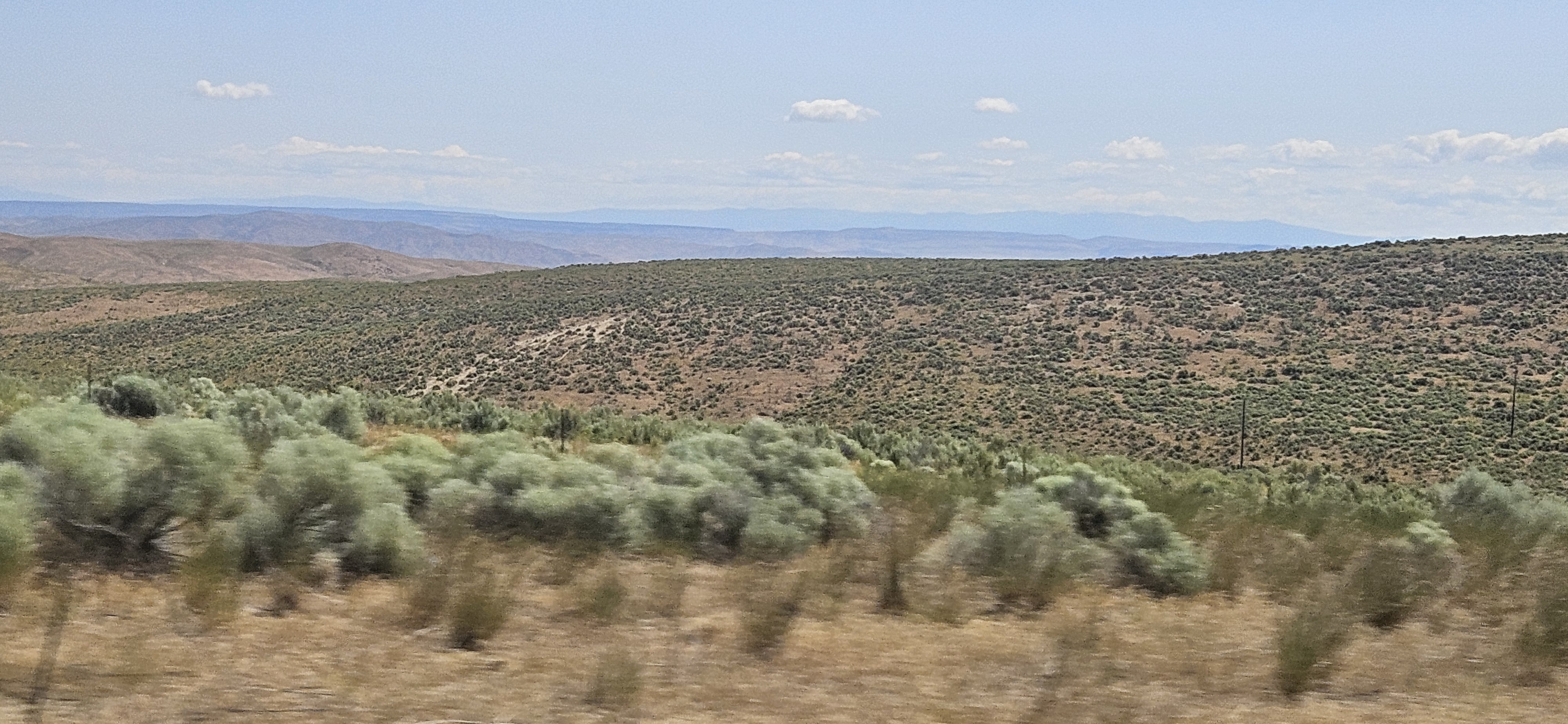 20250623_115210.jpg