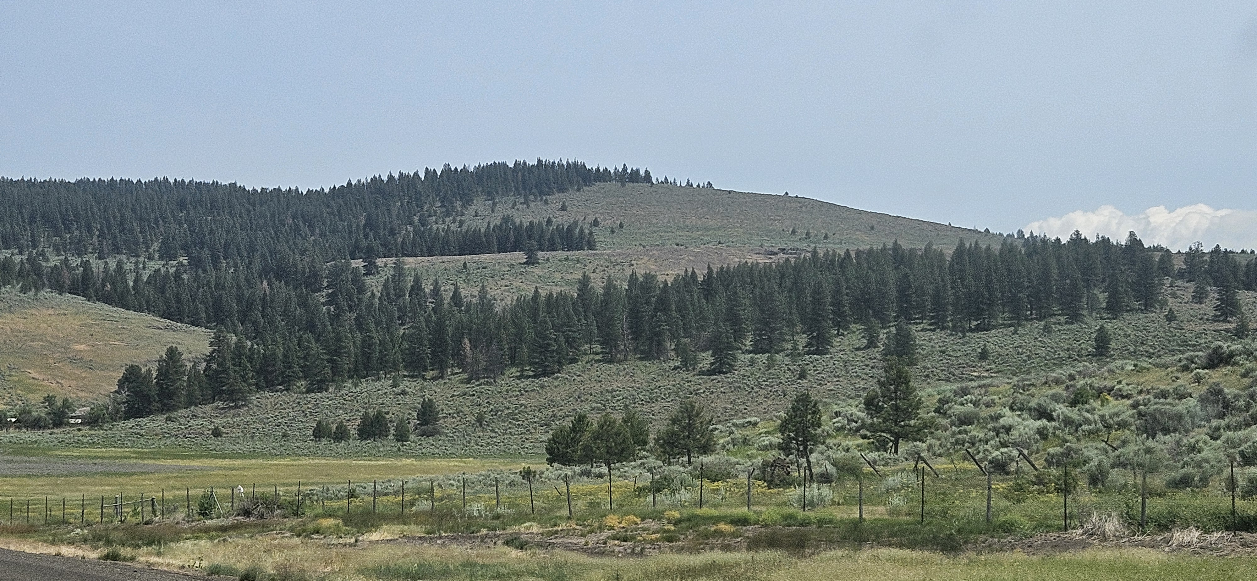 20250623_120506.jpg