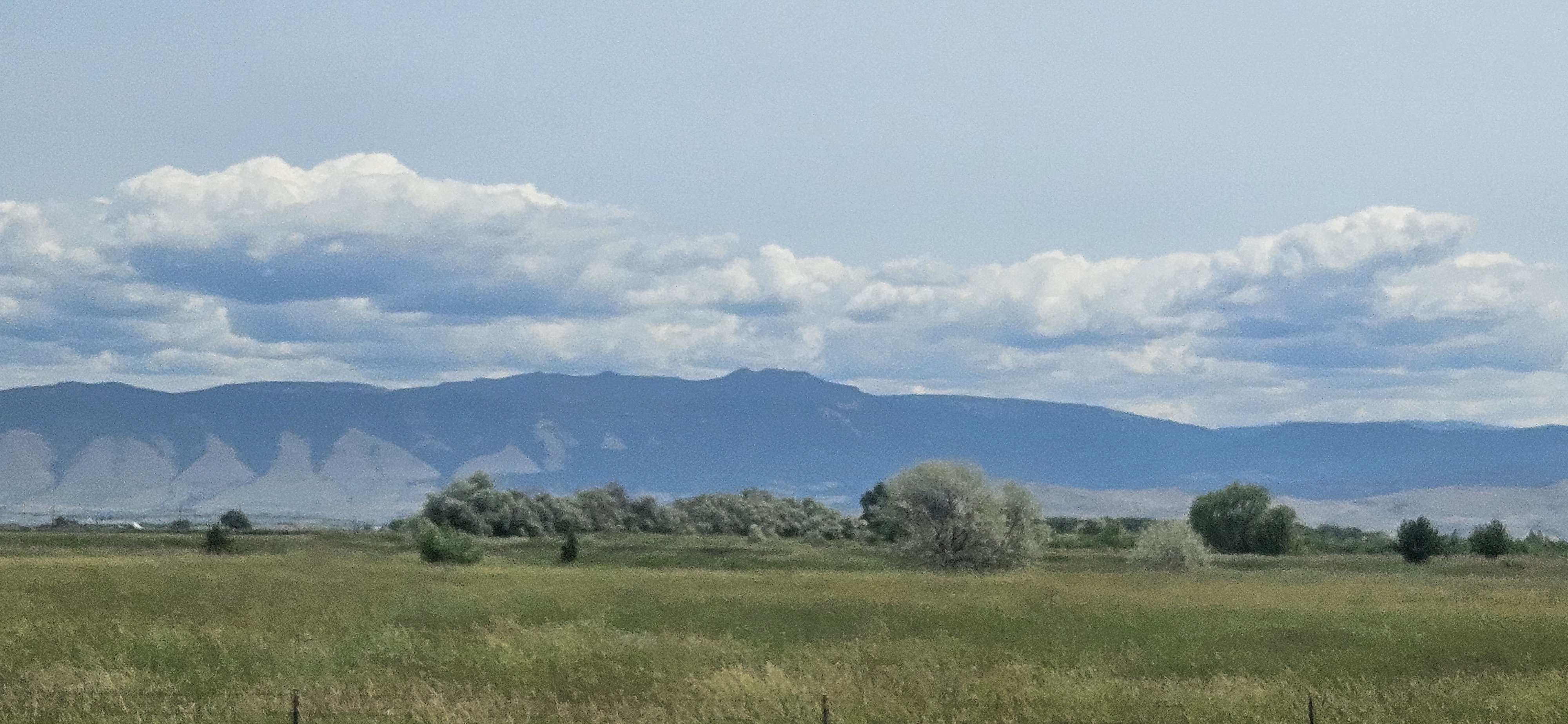 20250623_121211.jpg