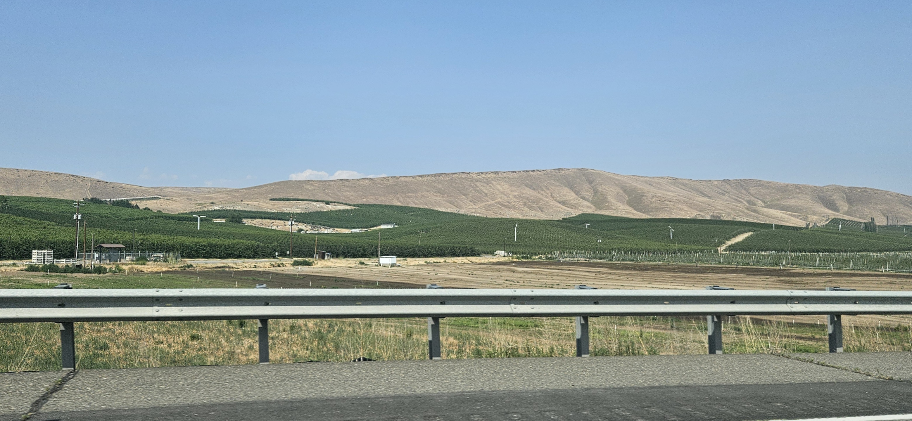 20250623_154956.jpg